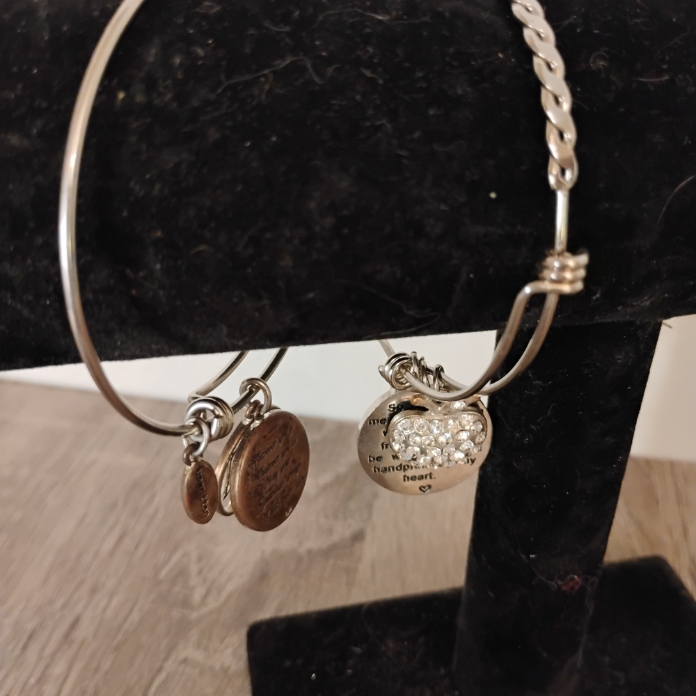 Bangle Charm Bangle Set - image 2